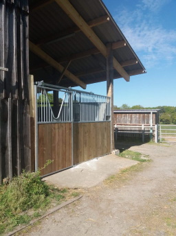 Foaling stall, outside view