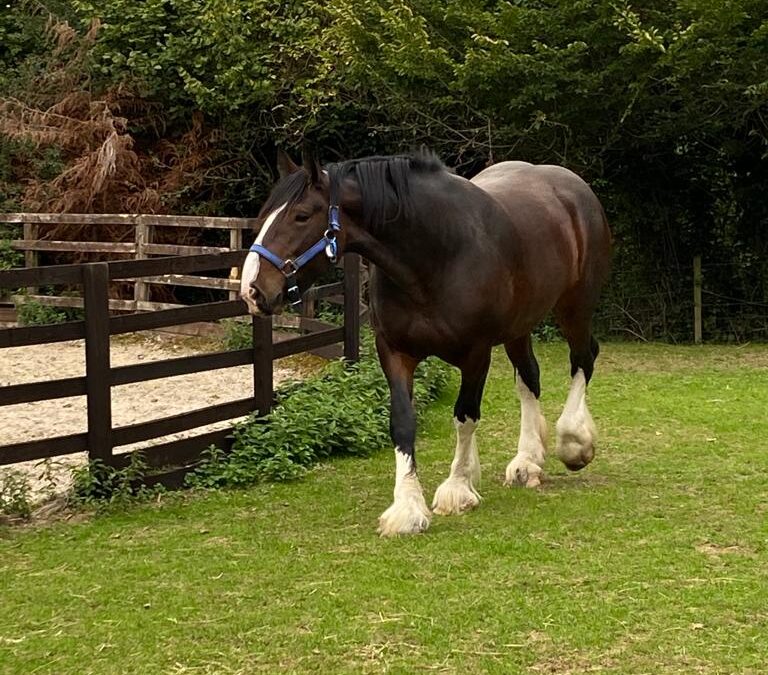 Arrivée de Kitty Second – sep&rsquo;22