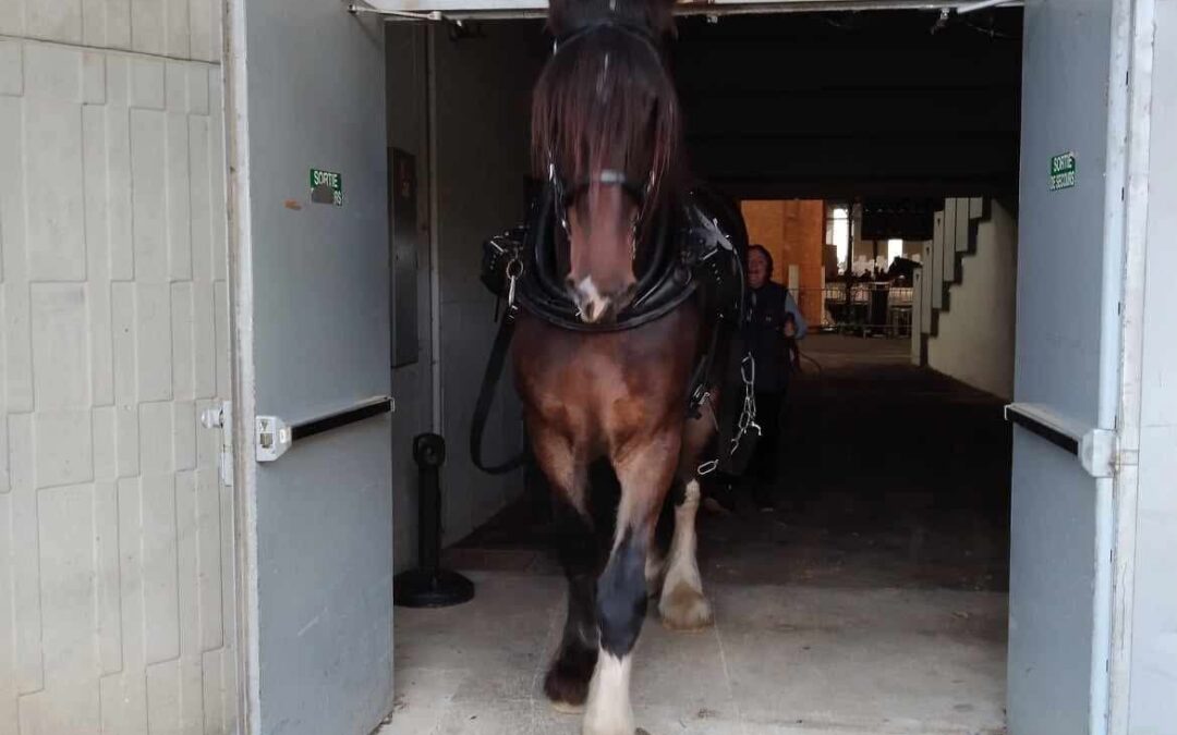 La ferme s&rsquo;invite Poitiers